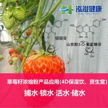 激活水通道诺贝尔级成果资生堂同款原料ORYZA草莓籽浓缩粉银锻苷