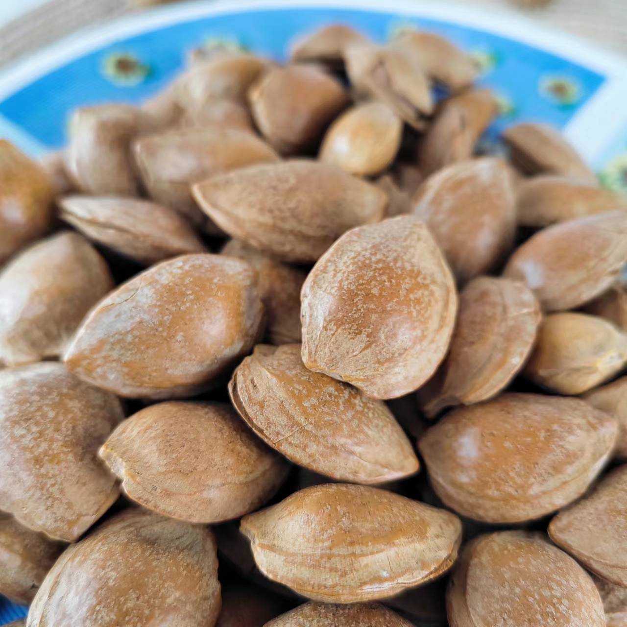 猫尔轻奢小白杏代发原味250g炒货坚果零食小吃炒货干果白杏仁