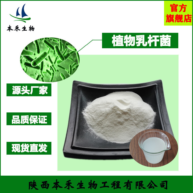 植物乳杆菌200亿cfu/g tr22 冻干粉 规格100-5000亿cfu/g植物杆菌