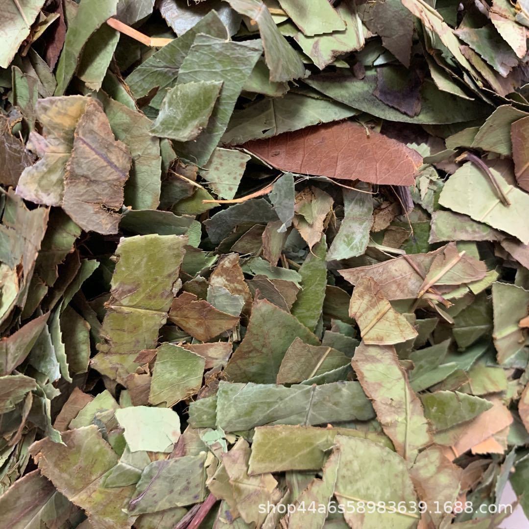 批发无硫新货中药材 石楠叶 石南叶 产地货源 量大价优 一件代发