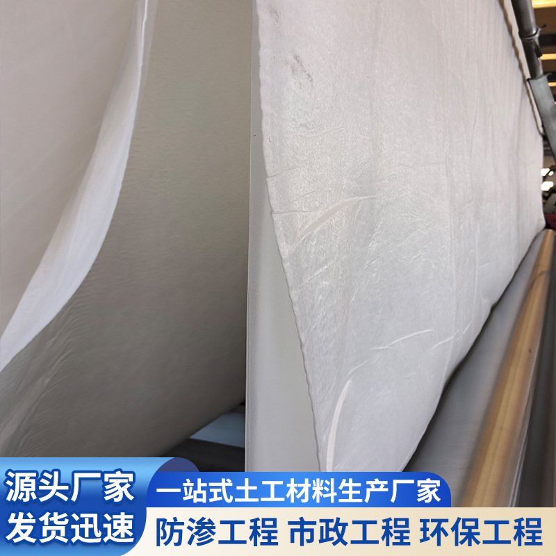 定制复合土工膜鱼塘防渗膜鱼池养殖蓄水池防水布两布一膜土工膜