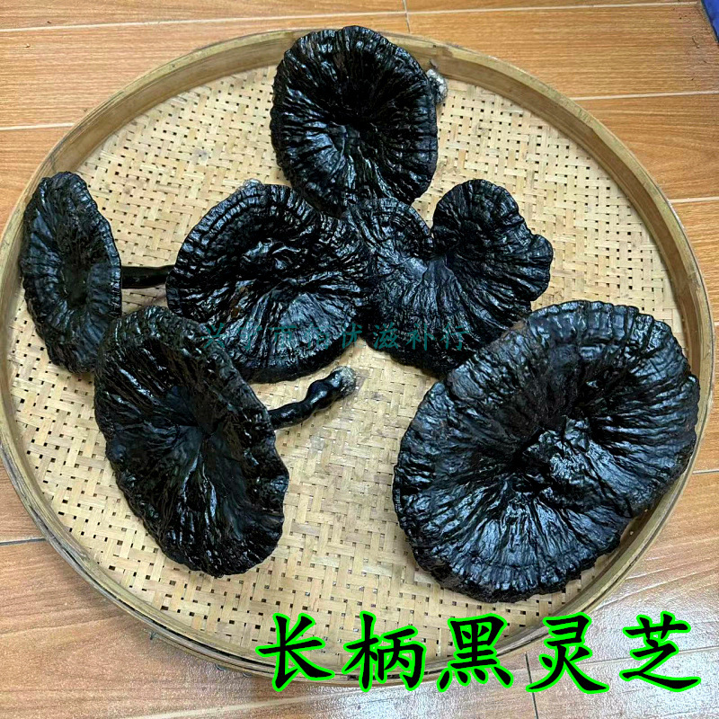 黑灵芝长柄整枝黑芝大朵小朵新鲜干货产地一首货源批发规格齐全