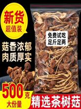 不开伞茶树菇干货500g一斤农家无硫新鲜煲汤食材香菇茶新菇250g