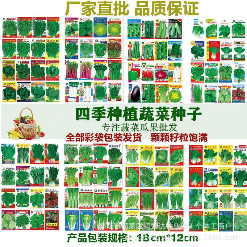 四季蔬菜种子大全批发蔬菜种子青菜种子香菜薄荷菠菜萝卜阳台庭院