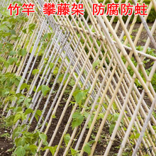 防腐竹竿竹杆旗杆菜园搭架竹子装修装饰隔断黄瓜菜园旗杆竹杆竹子