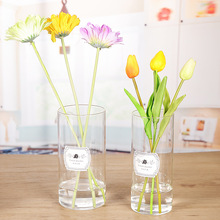 北欧直筒花瓶简约透明玻璃花瓶家居鲜花水培装饰客厅玻璃花瓶摆件