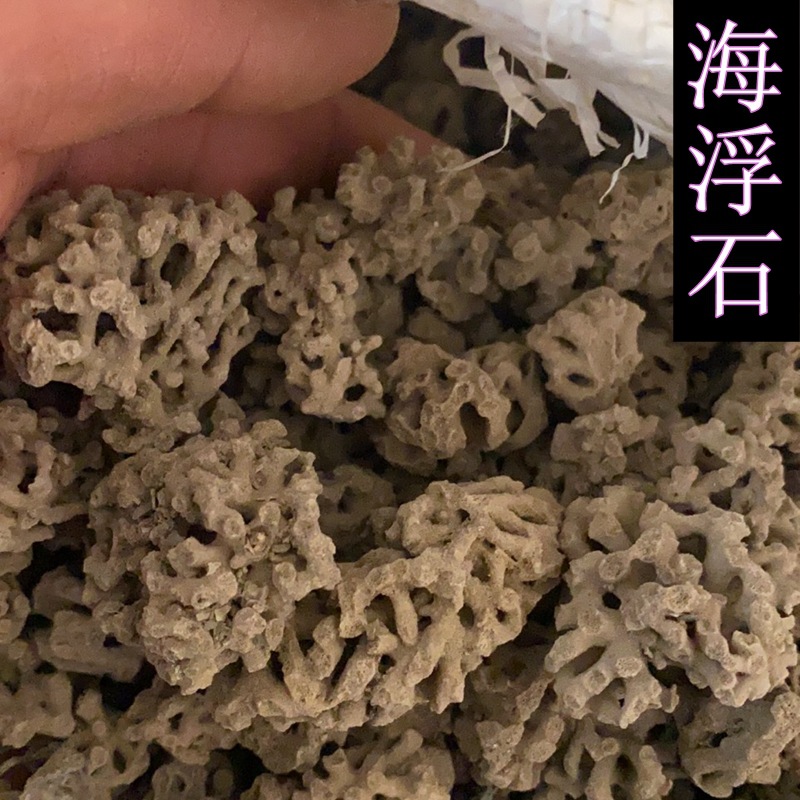 批发中药材 海浮石 海浮石花 海石花 多种规格免费打粉实物拍摄