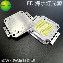 50W70W集成光源 鱼缸水族 水草LED海水 龙鱼珊瑚灯高功率显指射灯