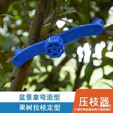 拉枝定型器盆景造型工具拿弯器园艺树枝条固定弯枝苗木果树压枝器