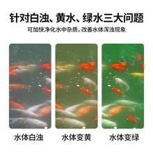 硝化细菌鱼缸用品净水剂除藻去苔剂杀菌剂分解鱼粪稳定水质鱼用