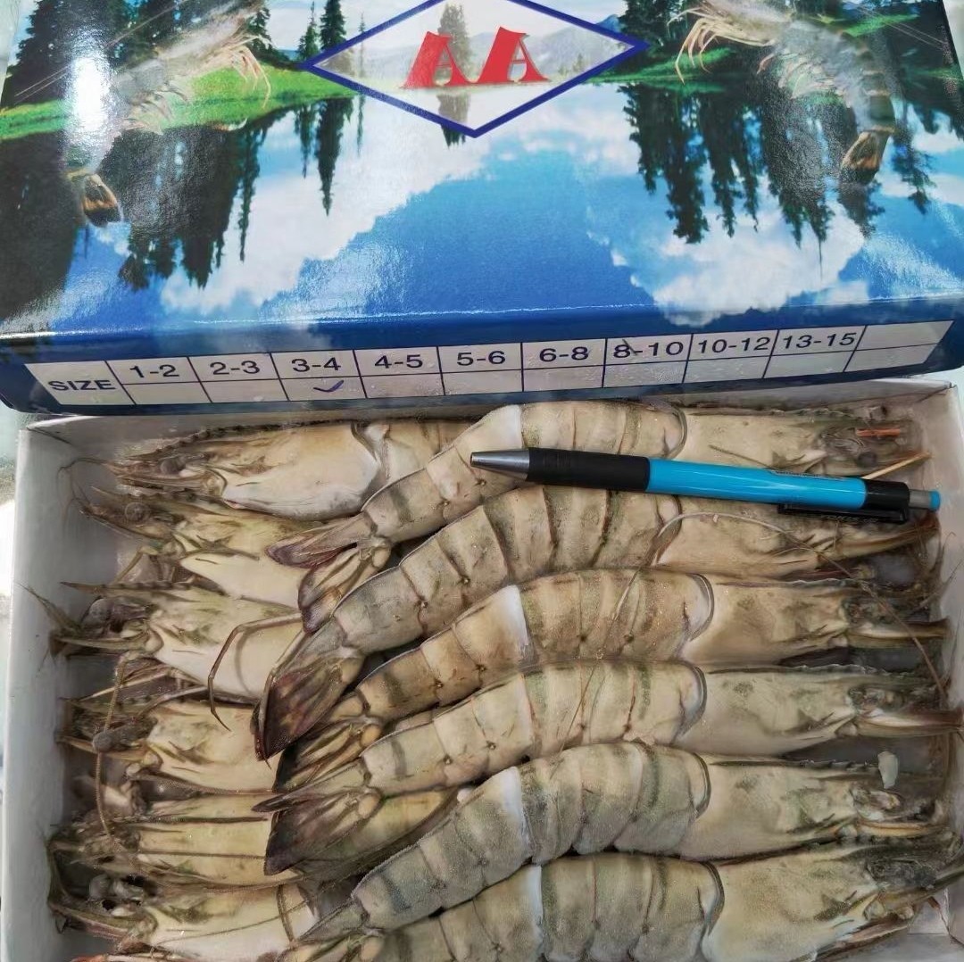 进口冷冻黑虎虾野生海捕 竹节斑马大虾刺身生吃西餐料理 电商代发