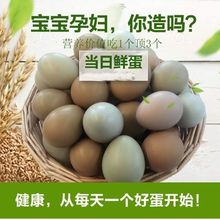 绿壳山鸡蛋农家散养新鲜绿壳蛋农家土鸡蛋草鸡蛋特产柴鸡蛋