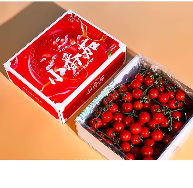 新款现货千禧柿包装盒小番茄礼盒3-5斤装可设计质量保证快速发货
