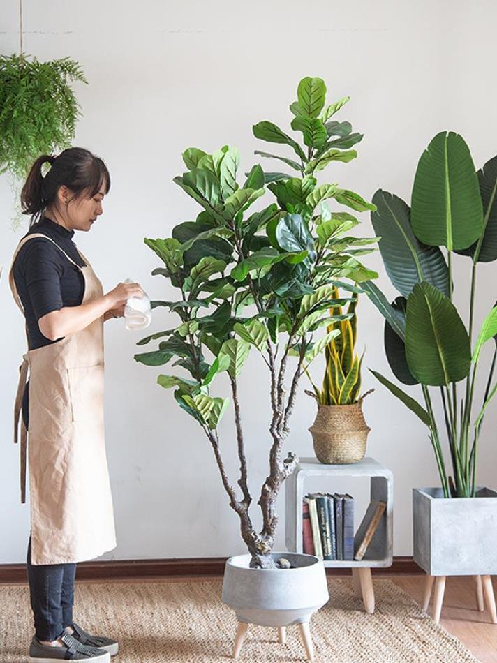女装店橱窗绿植楼梯口装饰落地室内欧式花盆天堂鸟美人蕉新款档