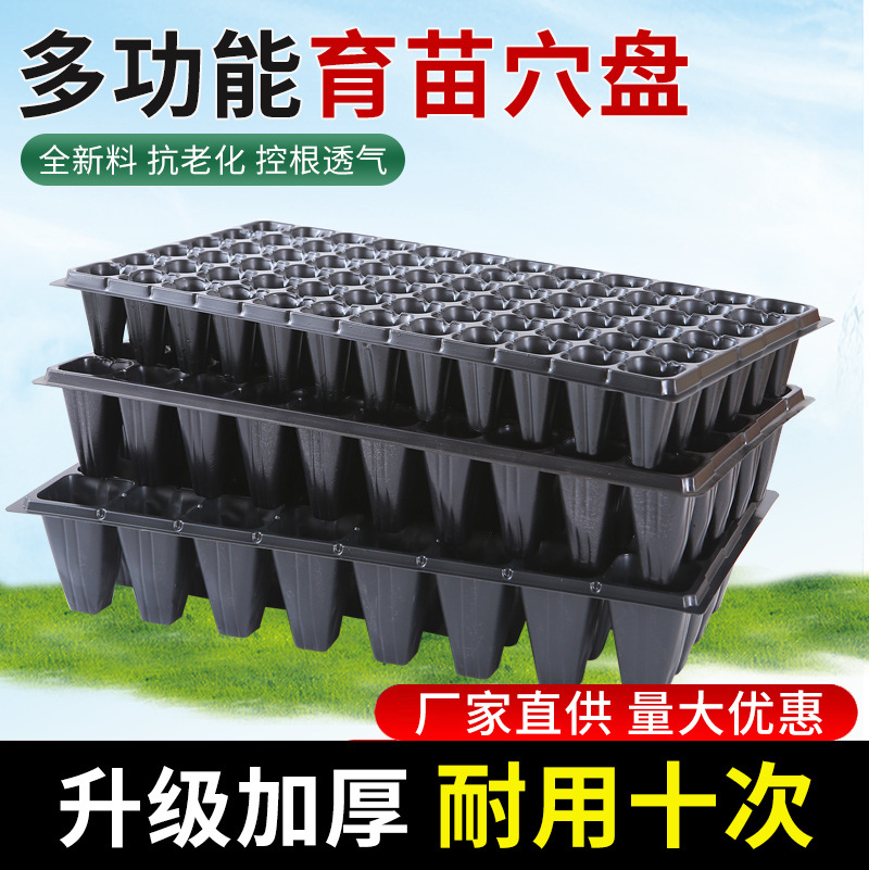 批发营养穴盘塑料育苗盆园艺育种工具花卉培育 现货供应