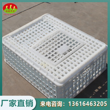 鸡鸭鹅运输筐 方形鸡笼 塑料鸡笼批发规格74*55*27CM