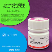 Western湿转转膜液 湿法电转膜液 1L干粉 PH0401 Phygene