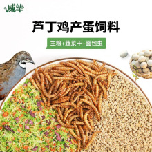 芦丁鸡饲料育雏专用产蛋鹌鹑幼鸡干蔬菜粒混合食物卢丁鸡下蛋粮食