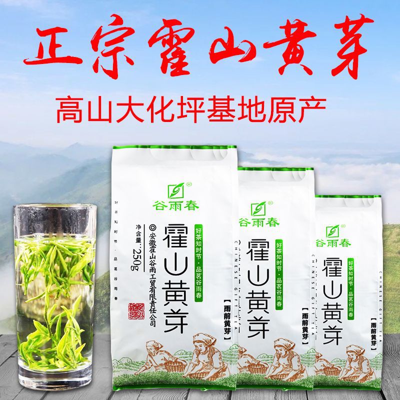 安徽霍山黄芽茶叶浓香型袋装闷黄一级正宗黄茶2024新茶大叶茶