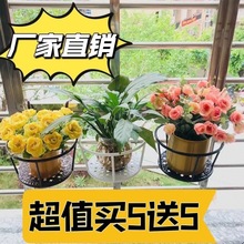 铁艺阳台花架子挂式悬挂花架窗台花篮栏杆护栏花架花盆挂架置物架