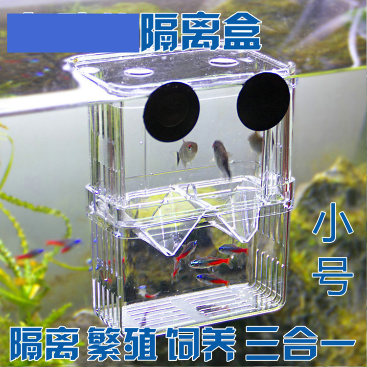 Fish Fry Incubator Guppy Transparent Breeding Box Douyu Isolation Box Acrylic Double-Layer Self-Floating Incubator Small Size