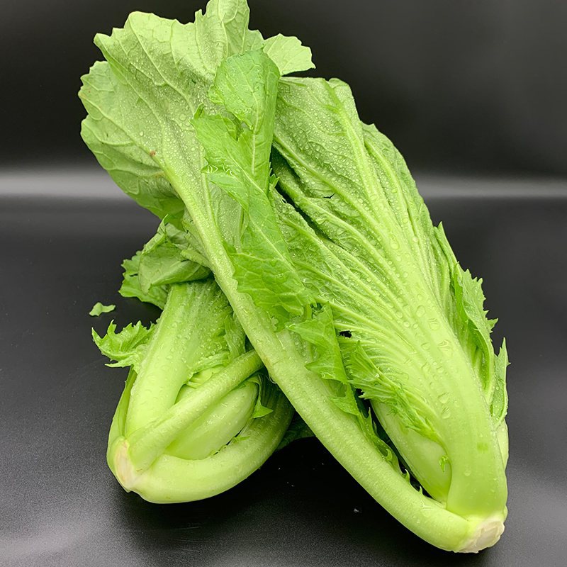 贵州新鲜包心芥菜青菜新鲜蔬菜苦菜大叶宽邦青菜可做酸菜腌菜泡菜