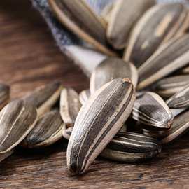 天津鑫兴张笨仁水煮瓜子大颗粒葵花籽坚果炒货126g网红零食品