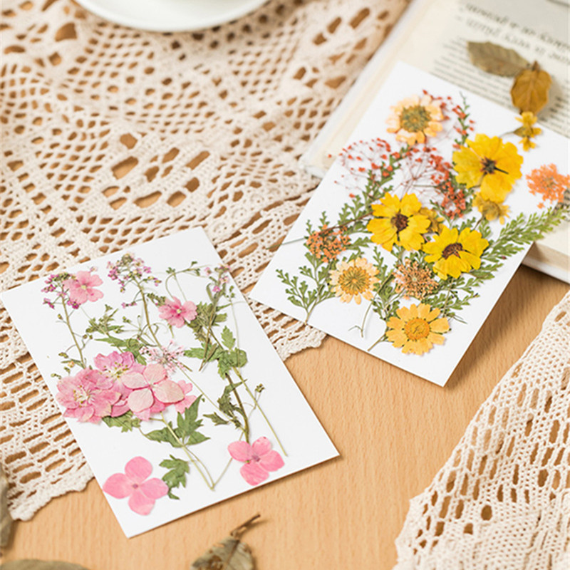 Exclusive for Cross-Border Dried Flower Embossing Epoxy Decals Painting Plant Specimen Handmade DIY Material Package Embossing in Stock Wholesale