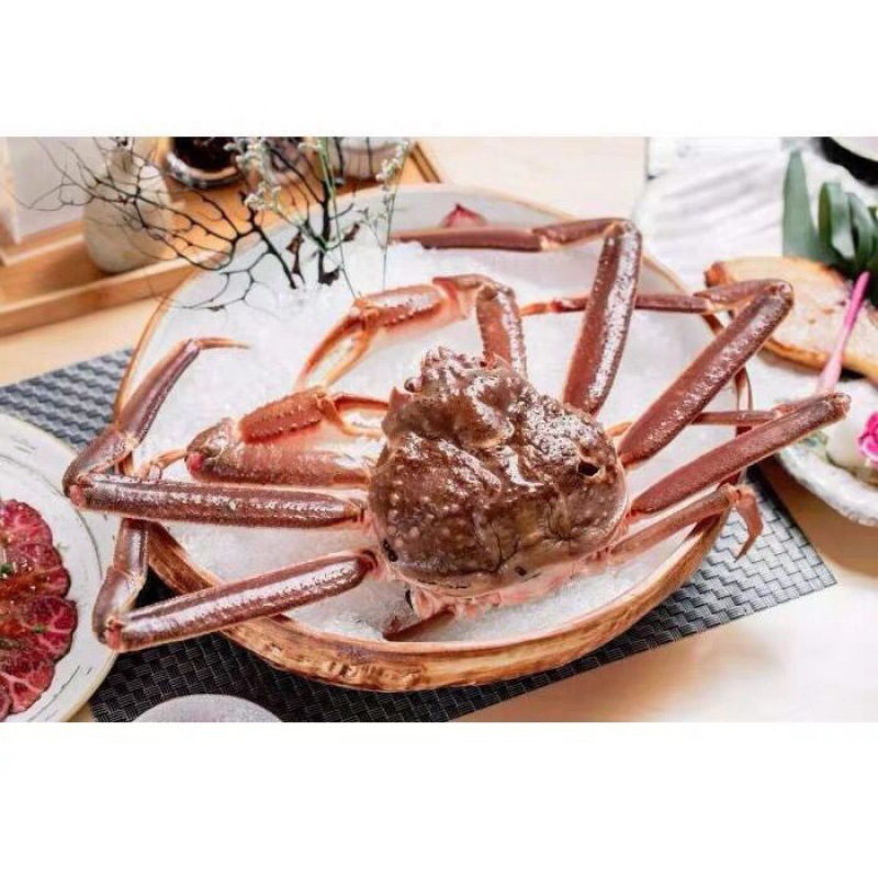 板蟹雪蟹海蟹冰鲜松叶蟹长脚蟹鲜活蟹大板蟹只斤装跨境速卖通批发