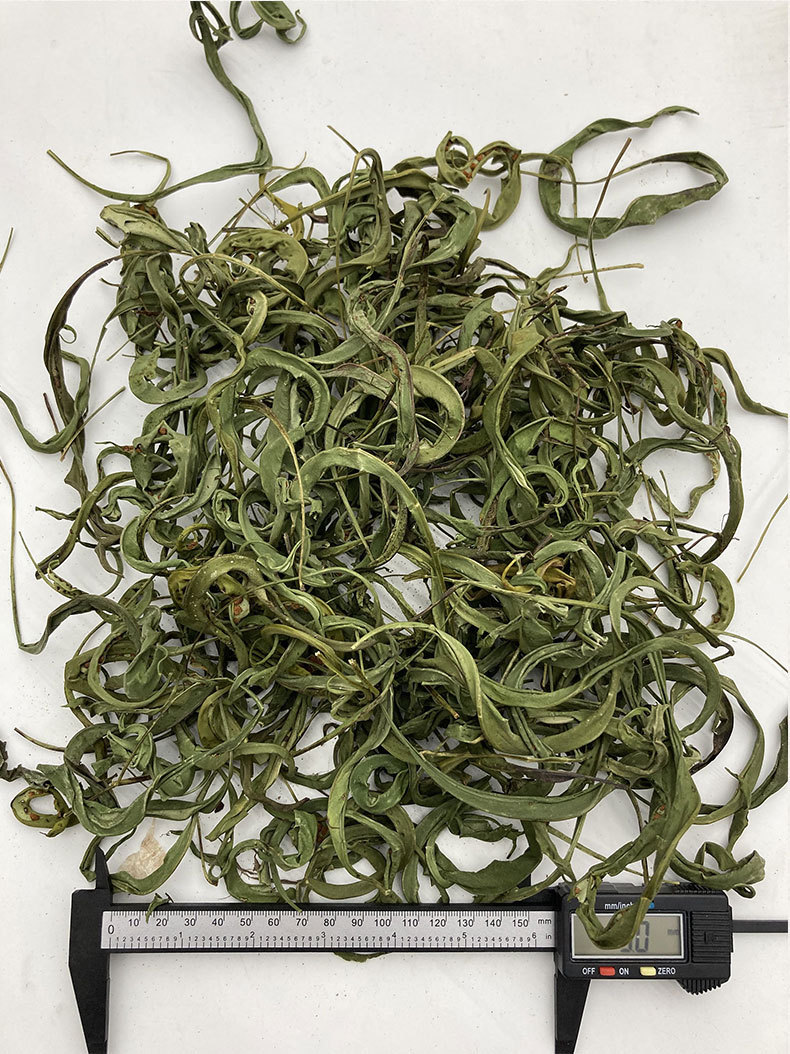 新货广西化石草 500g 化石草茶 肾精草 肾经草散装零售产地直发