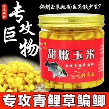 钓鱼甜嫩玉米鱼饵挂钩串鲤鱼专用大物饵料玉米粒鱼青鱼翘嘴野钓