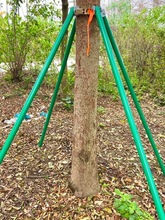 树木支撑架固定器种植小树树木护树支架绿化小区园林抱箍树撑杆