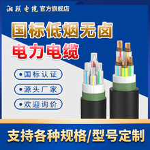 湘联国标电线电缆YJV2.5/4/6平方2/3/4/5芯控制电缆线工程100米