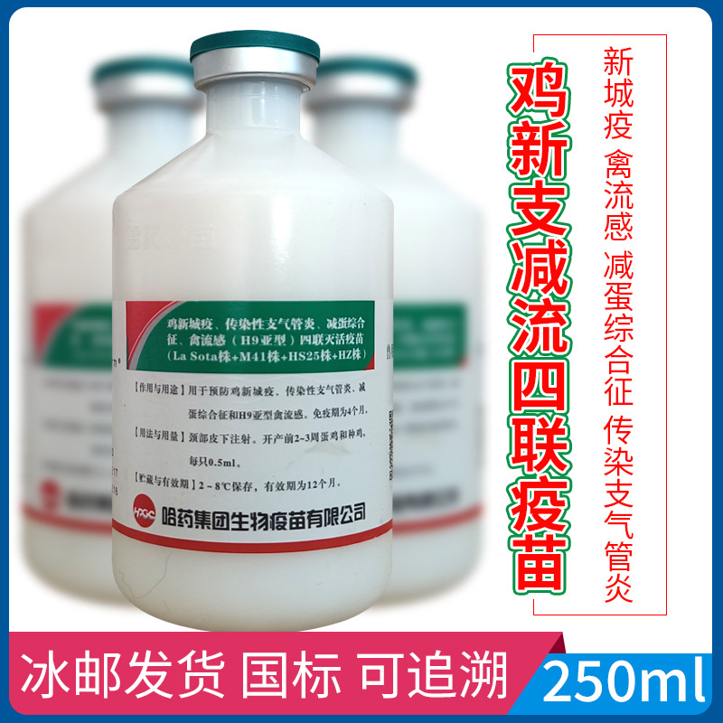 切勿用于人体,并严格依照动物诊疗机构的诊疗方案或产品说明书使用