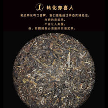 云南易武正山普洱茶生茶古树春茶叶云南七子饼35克饼工厂一件批发