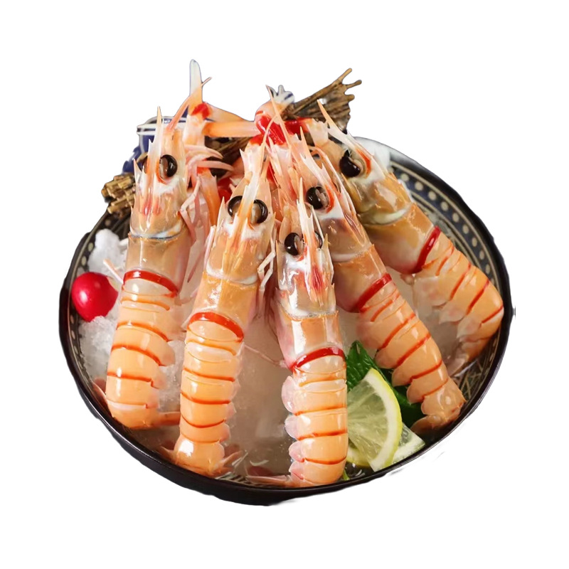 新西兰海鳌虾深海海鲜日料刺身火锅食材海味大虾冻虾批