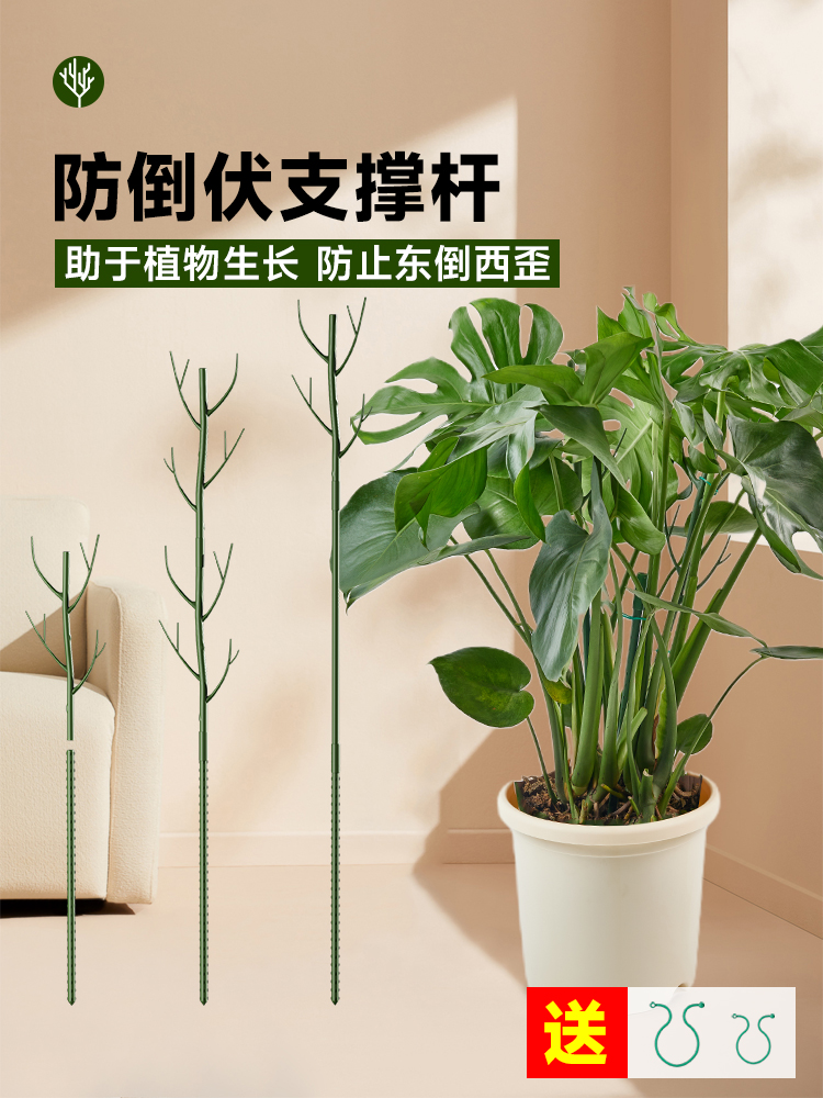 花架支撑杆龟背竹支撑架老桩月季植物爬藤防倒伏固定园艺造型支架