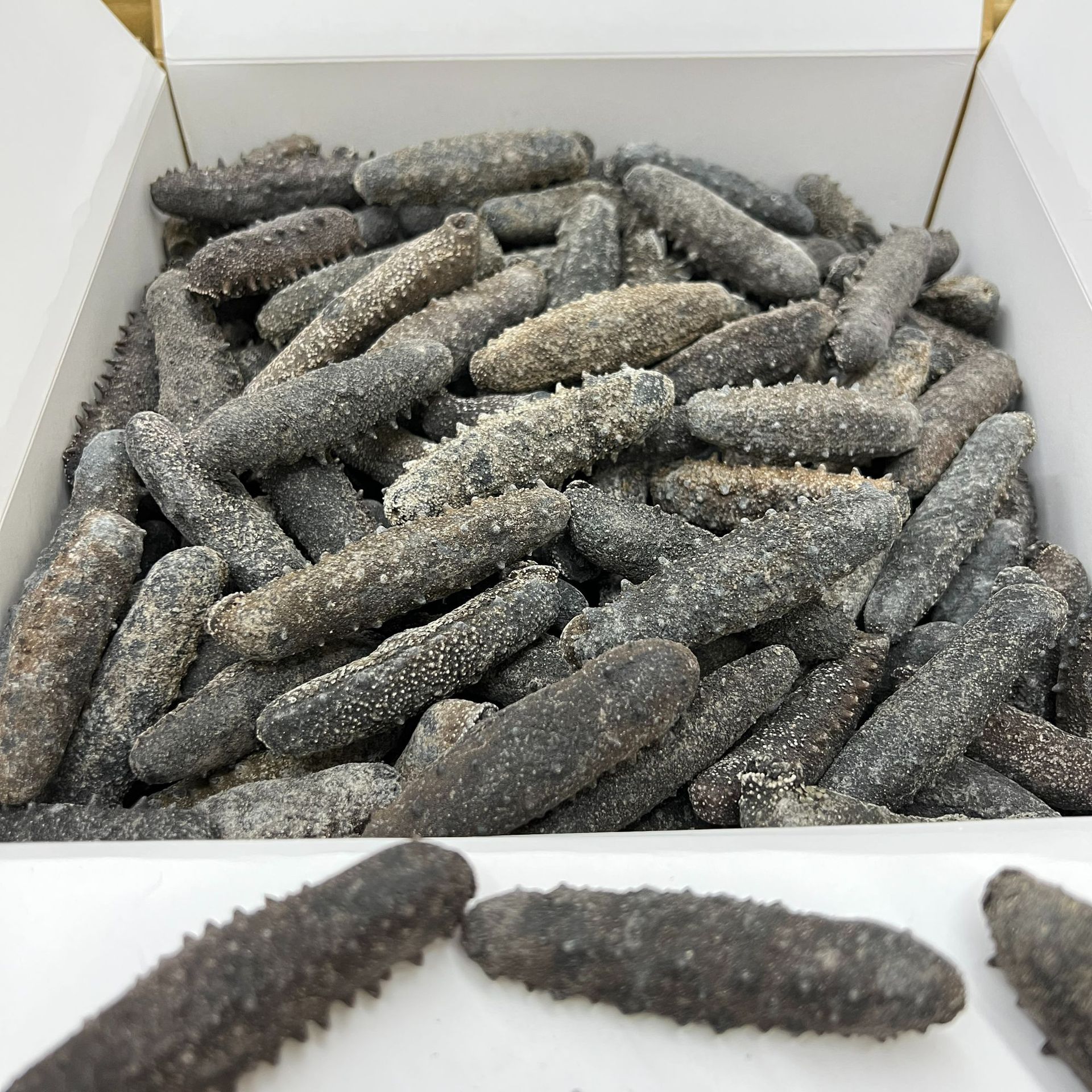 日本北海道天然野生关西参海参干货直销纯淡干辽刺参20-300头