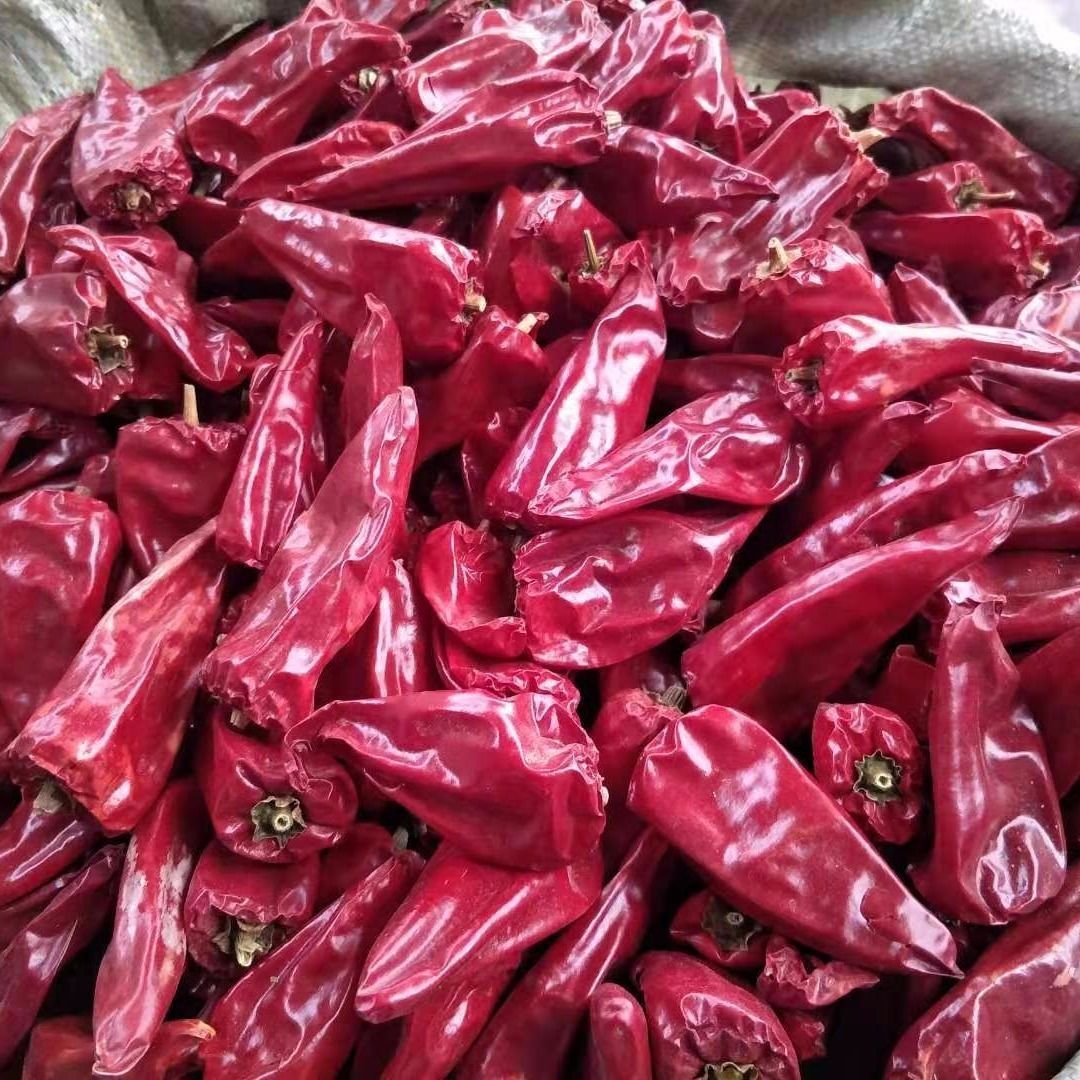 不辣出红油红不辣辣椒粉辣椒面铁皮板椒北京红益都红一点都不辣批