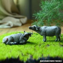 水牛摆件中国风微景观小马装饰品盆景假山摆饰造景桌面小动物