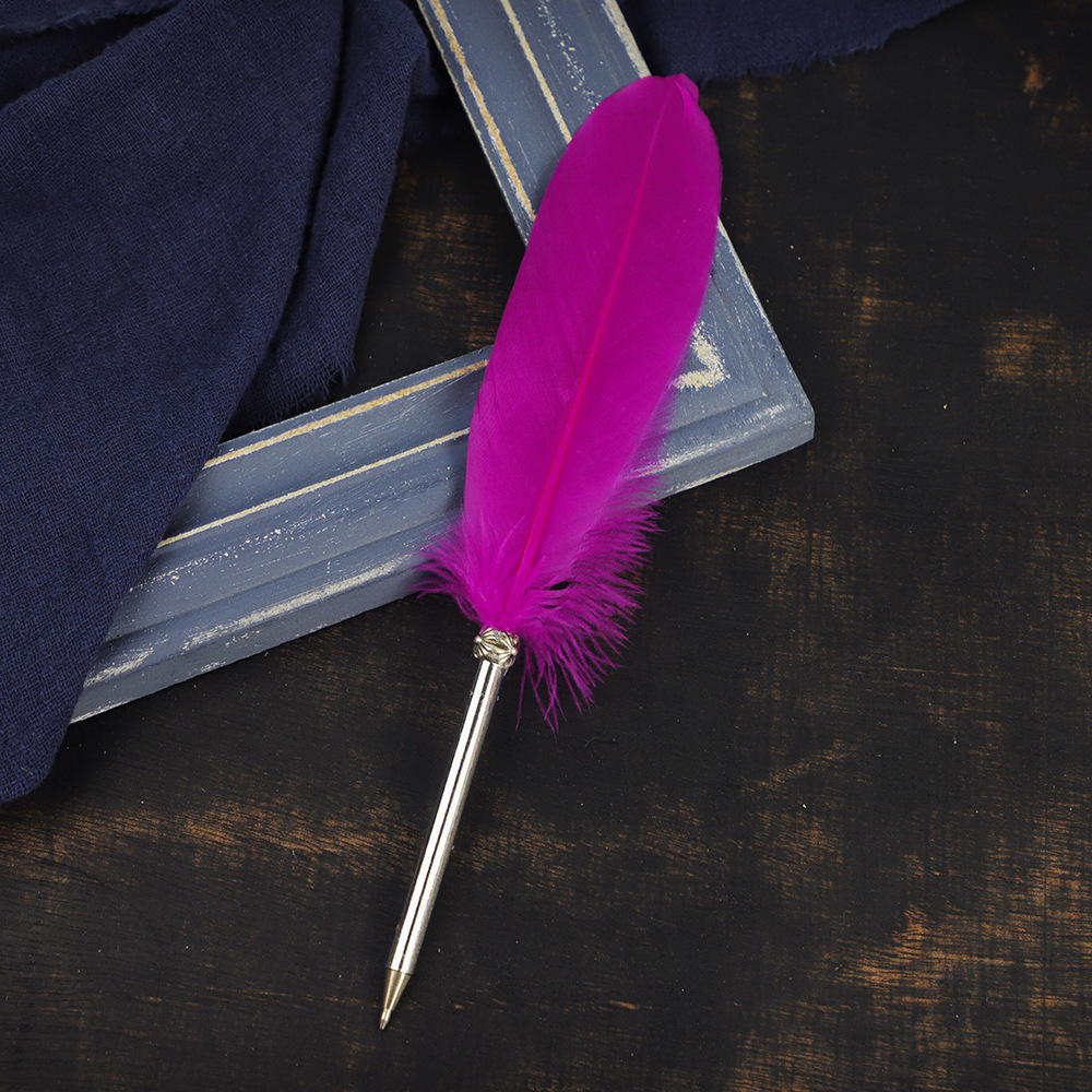 亚马逊热销彩色羽毛笔大飘羽毛笔圆珠笔创意文具礼品签字笔现货