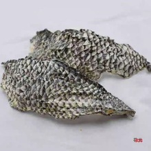 干鱼皮罗非鱼皮干火锅凉拌泡椒鱼皮原料生鱼皮散装鱼皮500g原味