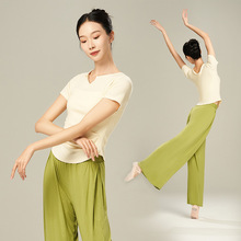 2024舞蹈服女形体练功夏季新款短袖修身现代跳舞专用成人古典上衣