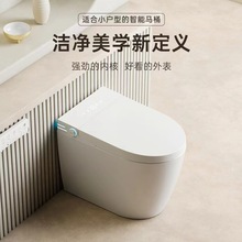 潮州工厂小户型58cm家用一体智能马桶坐便器即热双水路烘干全自动