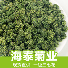 海泰菊业散装批发500g云南三七花田七花花草茶量大从优源头工厂