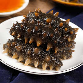 山东青岛海参价格