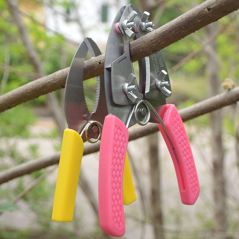 Circular Cutting Scissors Circular Cutting Knife Circular Cutting Grape Circular Peeling Scissors Pruning Shears Girdling Knife Fruit Tree Circular Peeling Knife Gardening Scissors