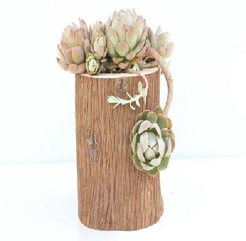 原木木质多肉小花盆带树皮石斛兰花实木老树桩花槽壁挂式花器盆栽