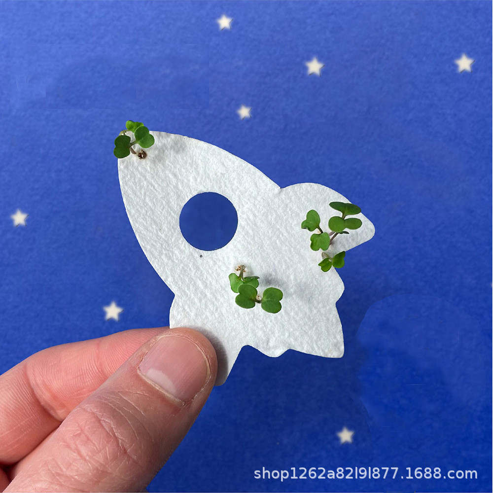 异形小卡片 seed paper发芽种子纸服装花店logo网红风吊牌邀请函
