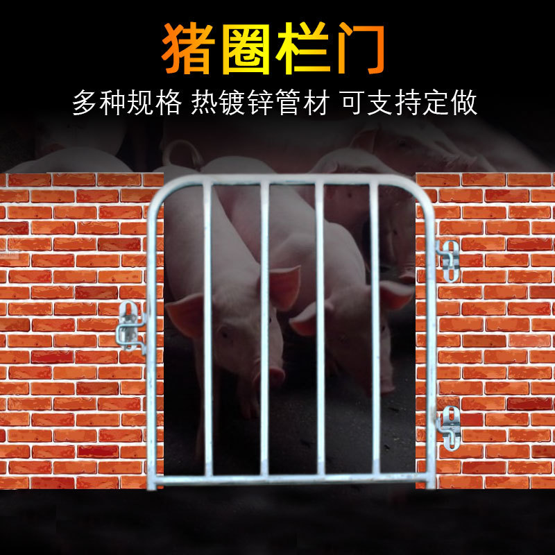 肥猪栏门母猪舍围栏猪圈门猪舍砌墙热镀锌钢管产床限位栏保育栏门